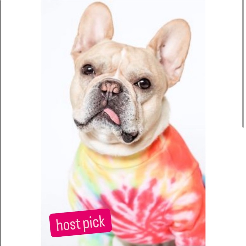 NWT, LOVETHYBEAST rainbow tie dye tee shirt